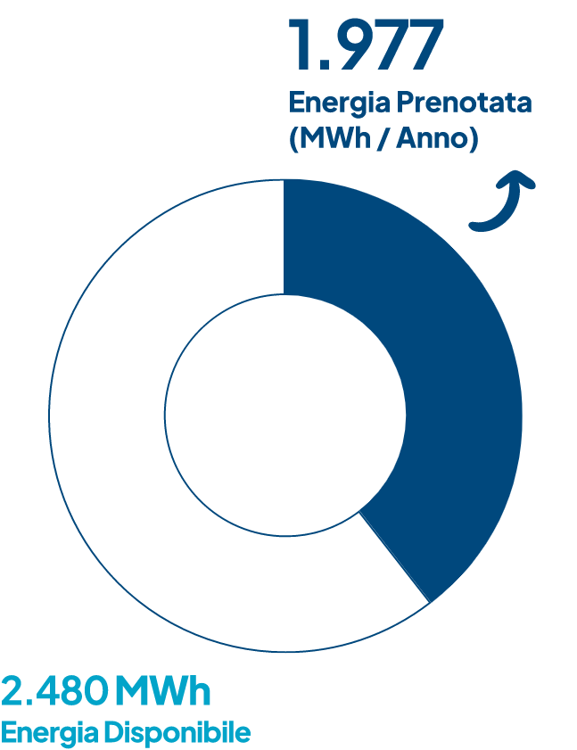 grafico a torta